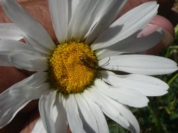 p1030097